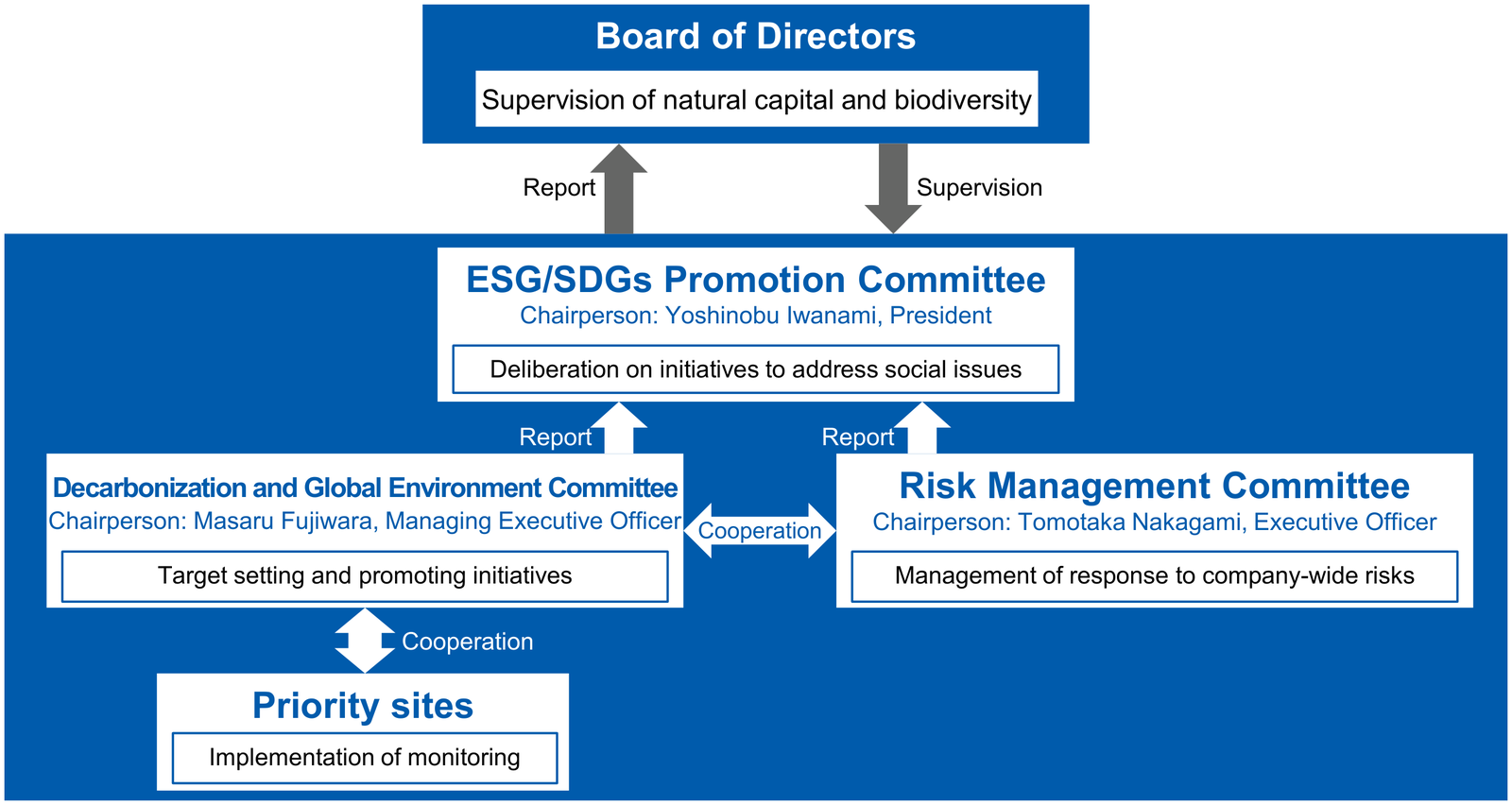 TNFD promotion framework