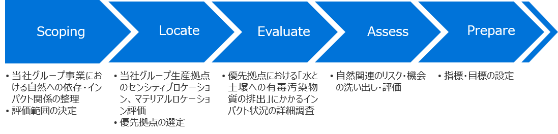 LEAPアプローチによる評価プロセス